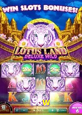 Slots no Site 56w